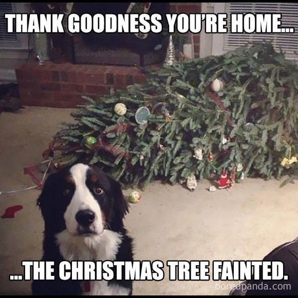 FOLLOW GAME #4!! Like, follow & share…or tag !! 🎉🎉Next goal 225k !! 🥳🎉 - Picture 6 of 12